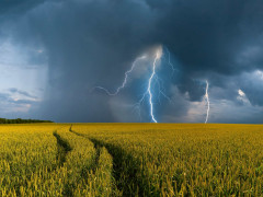 Прогноз погоди для мешканців Київщини на 19-те липня