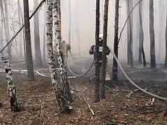 У Чорнобильській зоні досі ліквідовують чергову пожежу (ФОТО)
