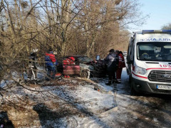 На Білоцерківщині Daewoo Lanos врізався у дерево