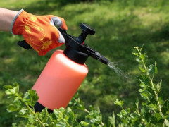 Мешканці Студениківської ОТГ скаржаться на незаконне використання пестицидів