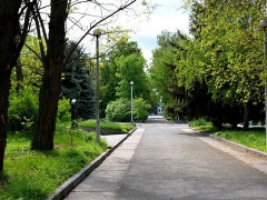 В Ірпені з’явиться тематичний сквер "Шкільний" (ВІДЕО)