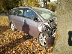 У Білій Церкві 20-річна водійка в’їхала у дерево