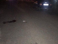 У Рокитному поліцейський насмерть збив велосипедиста