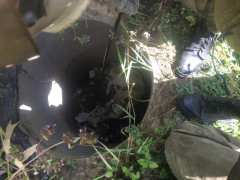 У Ставищенському районі рятувальники визволили безпритульного пса з колодязя 