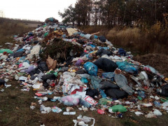У Вишгородському районі чоловік викинув у поле цілу вантажівку сміття (ВІДЕО)