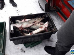 Рибоохоронний патруль Київщини зафіксував понад 100 порушень з початку лютого