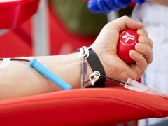 У Броварах донорів крові безкоштовно обстежать на COVID-19
