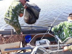 З вод Київщини витягнули 100 кілограмів риби (ФОТО)