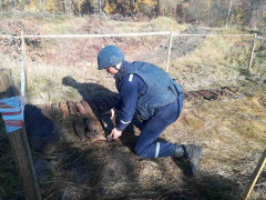 Поблизу Білої Церкви виявили велику кількість вибухонебезпечних предметів (ВІДЕО)