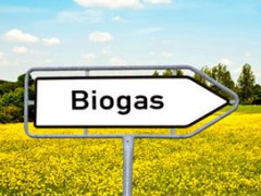 У Білій Церкві видобуватимуть біогаз 