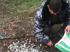 З вод Київщини витягнули 100 кілограмів риби (ФОТО)