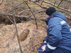 В Чорнобильській зоні знайшли бомбу
