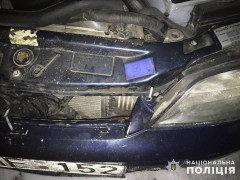 У Бородянському районі водій напідпитку збив двох дітей