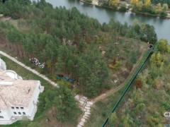 Під Києвом рубають державний ліс 