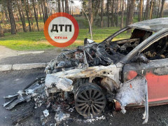 У Тарасівці підпалили виставлений на продаж автомобіль (ФОТО)