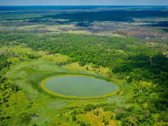 У Чорнобилі знайшли незвичайне озеро
