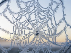 Прогноз погоди для жителів Київщини на 10-те січня