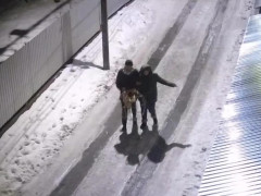 У Боярці подружжя вкрало ялинкову прикрасу (ВІДЕО) 