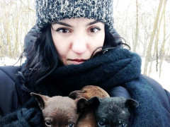 Зоозахисниця звинуватила журналістів телеканалу "Погляд" у непрофесійності