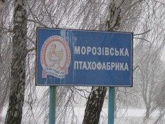 "Рубі Роз Агрікол": як російські гроші перетворили успішне підприємство на металобрухт
