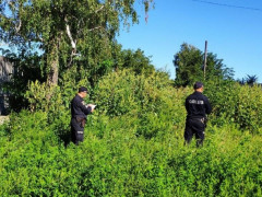 Білоцерківець шахрайським способом заволодів комунальним майном