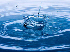 Вишгородський "Водоканал" заплатив майже 600 тис грн за шкоду екології