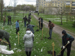 До річниці трагедії на ЧАЕС у Переяславі висадили алею дерев (ФОТО)
