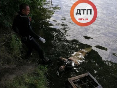 У Бучі в місцевій водоймі втопилася жінка 
