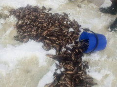 Під Яготином затримали двох рибних браконьєрів (ФОТО)