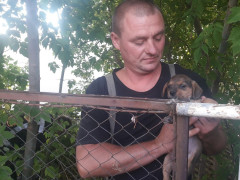 У Василькові працівники ДСНС дістали з глибокої ями чотирилапого (ФОТО)