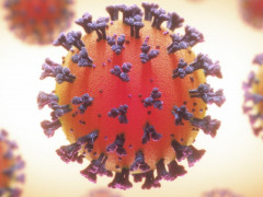 У Броварському районі за добу на коронавірус інфікувалося найбільше людей
