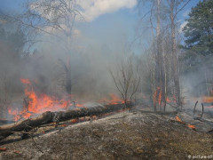 Німеччина передасть Україні обладнання для гасіння пожеж навколо ЧАЕС
