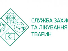 В Ірпені з’явився власний Хатіко 