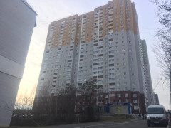 У Вишгороді труп жінки пролежав у квартирі більше трьох днів 