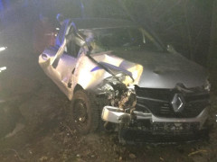 В Обухівському районі ДТП: водій загинув після зіткнення з деревом (ФОТО)