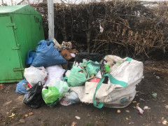 "Смердить страшенно": на Бучанщині невідомий залишив гори сміття біля сортувальних баків