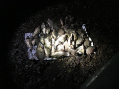  На Київщині працівники рибоохоронного патруля вилучили сім кілометрів сіток (ФОТО)  