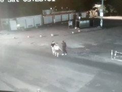 У Києво-Святошинському районі сварка чоловіків переросла у стрілянину (ФОТО)