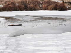 У Бориспільському районі чоловік провалився під лід (ФОТО)