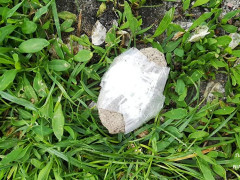 У Білій Церкві чоловік намагався закинути камінець із наркотиками на територію виправної колонії (ФОТО)