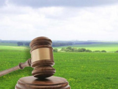 Державі повернуто землі Васильківщини вартістю понад 130 млн грн