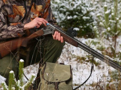 На Київщині двом браконьєрам повідомили про підозру у вбивстві вагітної самиці лося