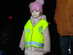 Невтішна статистика: з початку року на Київщині загинуло ледь не пів сотні пішоходів