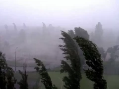 На Київщині оголосили штормове попередження