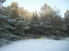 У мережі показали вражаючі фото зимового Чорнобиля