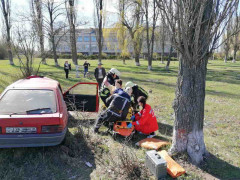 На Володарщині водій легковика влетів у дерево (ФОТО)