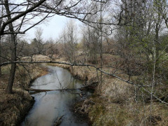 До боротьби з вогнем у Чорнобильській зоні залучили Збройні Сили (ФОТО, ВІДЕО)