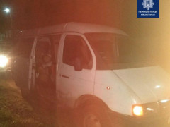 На Бородянщині зупинили автомобіль, який нелегально перевозив деревину (ФОТО)