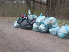 На Фастівщині з лісової зони вивезли понад дві тонни сміття (ФОТО)