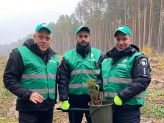 Правоохоронці Вишгородщини висадили разом із лісниками понад 14 тис саджанців